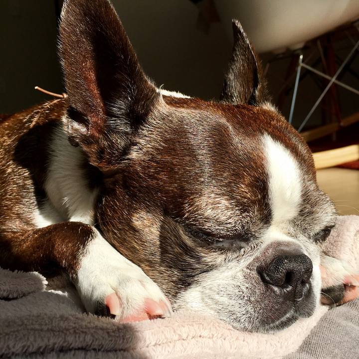 4fbe747d f32e 45ec 9163 2f25838f99f1