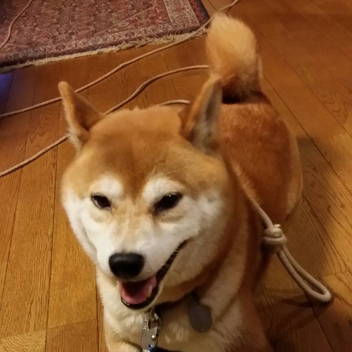 4fc00fe4 bbc0 4b8a 9ae4 891569e08178