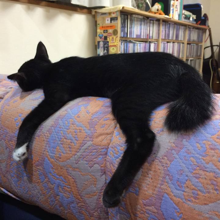 4fc067ae ee78 401e 83b6 4d8a19492b2f