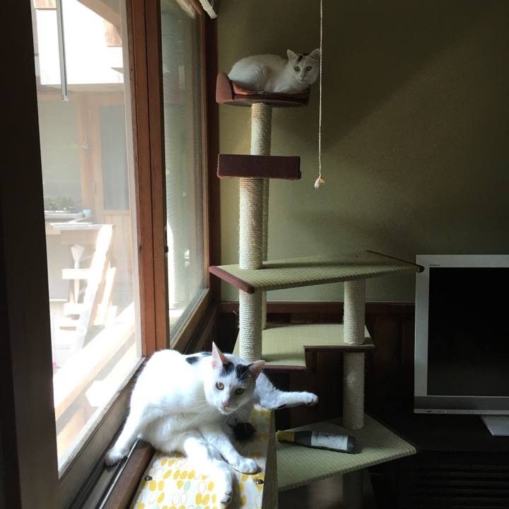 4fc0af03 999f 4c00 be82 37a52b4c70aa