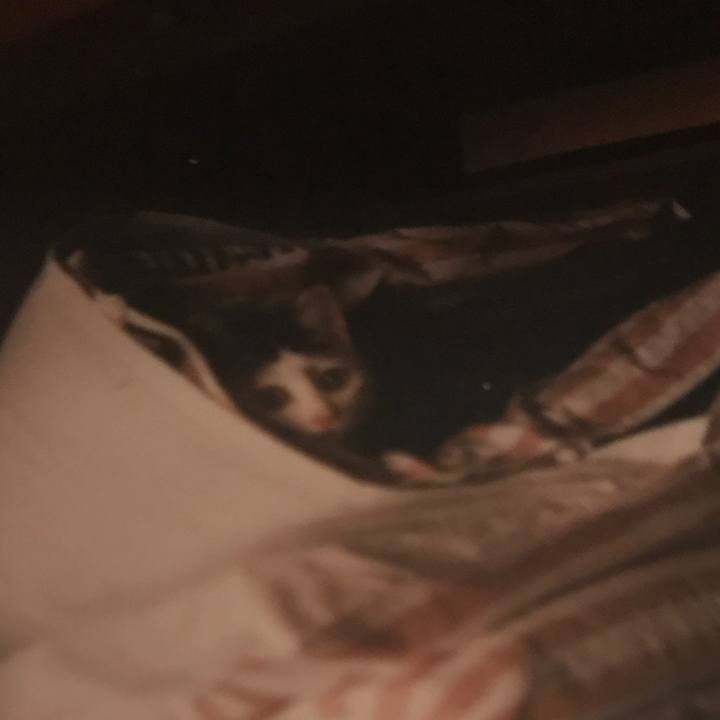 4fc1916c d457 4028 99a2 a06ecbca6051