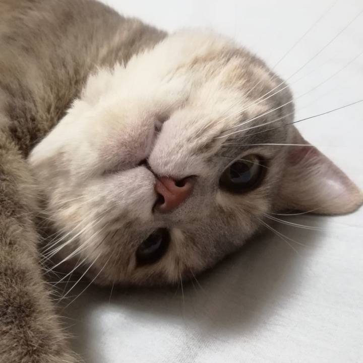 4fc19ee9 48bf 4cd7 b08f 603695a6d1d8