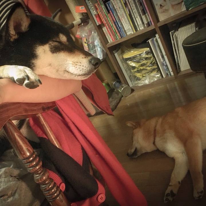 4fc1d01f 57d1 4a6e 850f e46d1e50ad4c