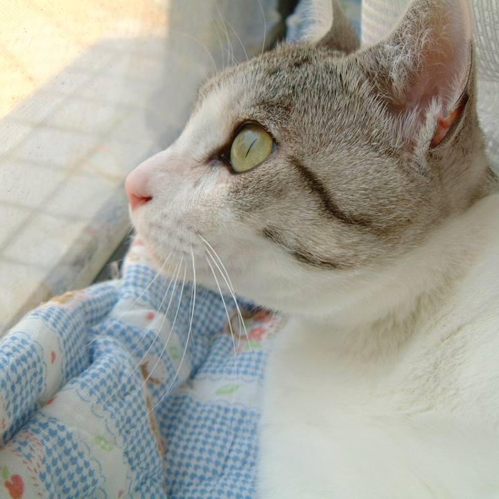 4fc21faf 932b 4087 9112 f569fda5cf26