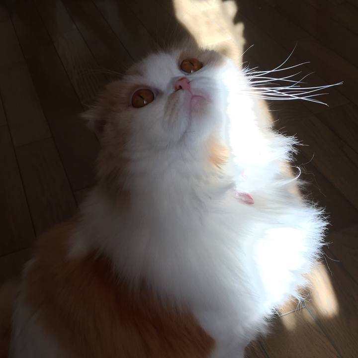 4fc22c77 8160 4815 9c36 914b36e71efa