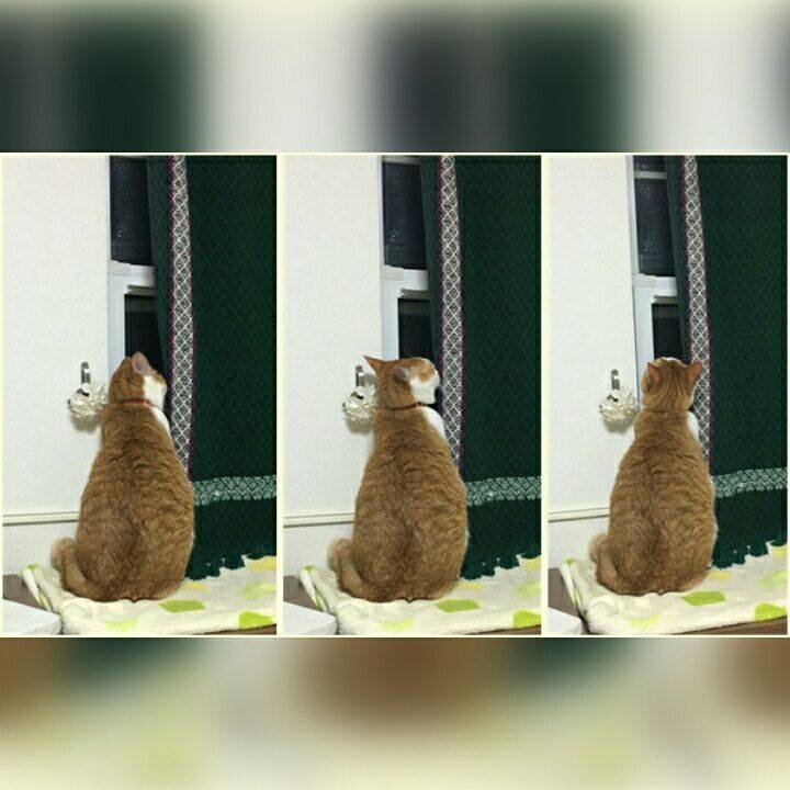 4fc25211 3b48 4a2d a75a 7dbc34257d78