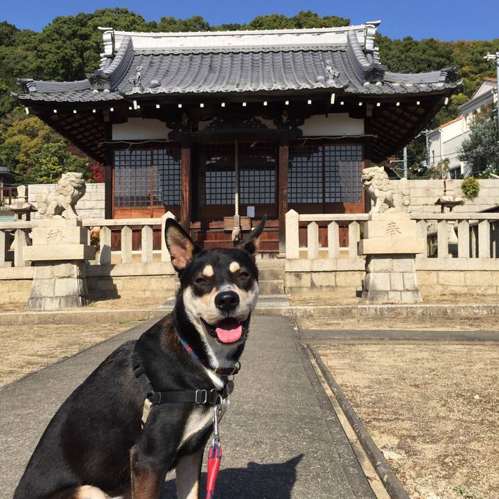 4fc28986 2a2a 472d a536 2fa15fef89f3