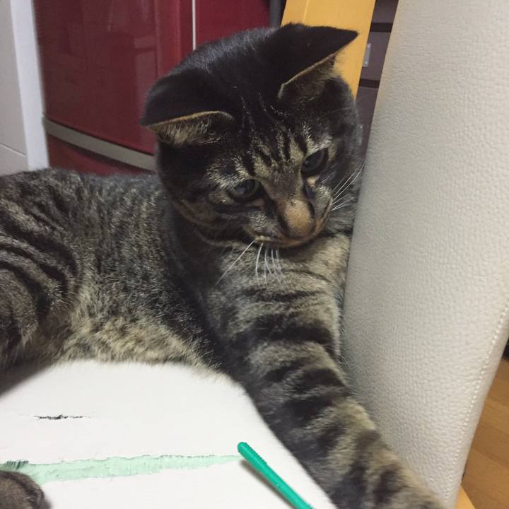 4fc32457 fb07 4208 96b0 38705a58334d