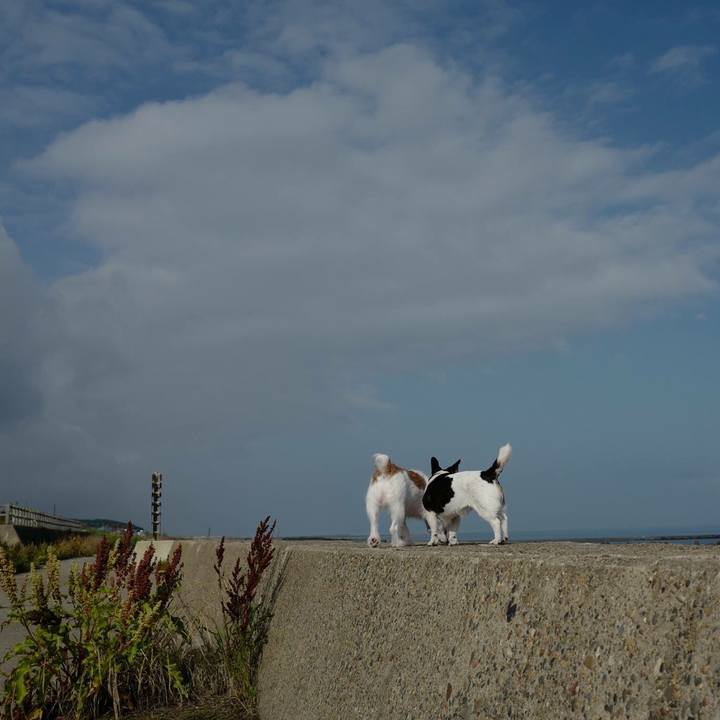 4fc3544a 0cee 497e b3d5 00d55ac2b8fd