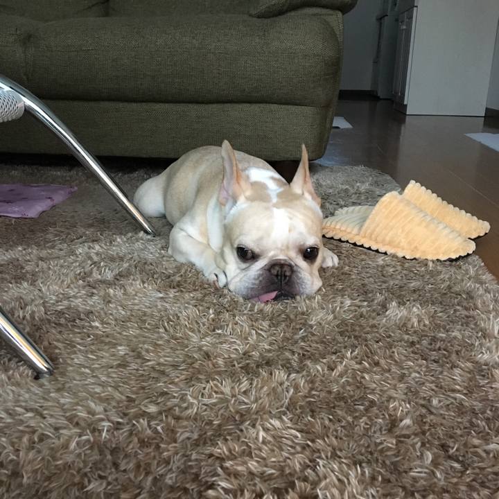 4fc4f016 e2bd 4e73 beba db992ca1e1a4