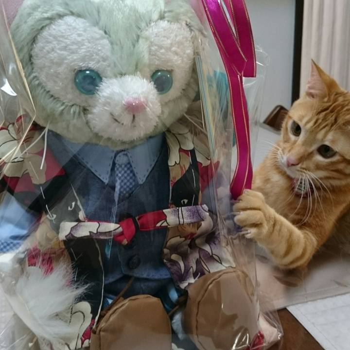 4fc547a6 844a 44a9 8bec caf25488e0e0