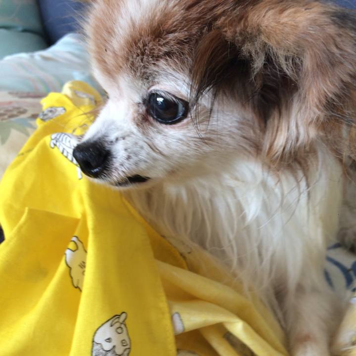 4fc58fb8 cd02 4594 b719 35713f7f23a5