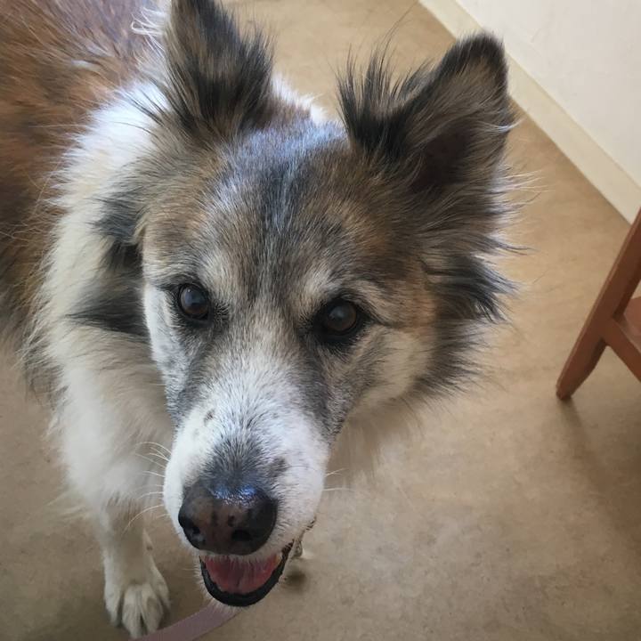 4fc5d6fe 7945 4437 9f81 91d5051bc81a