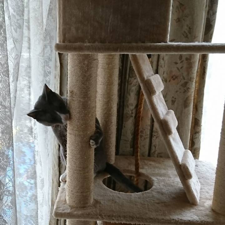 4fc7725f ec10 4d01 a04c 75c7515e5f28