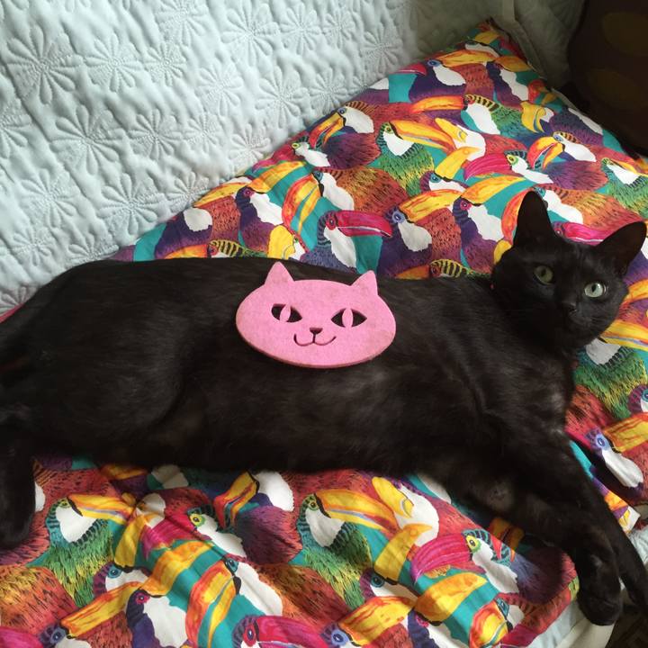 4fc7afac 4c98 4d13 b2b8 3ac96a1eefc3