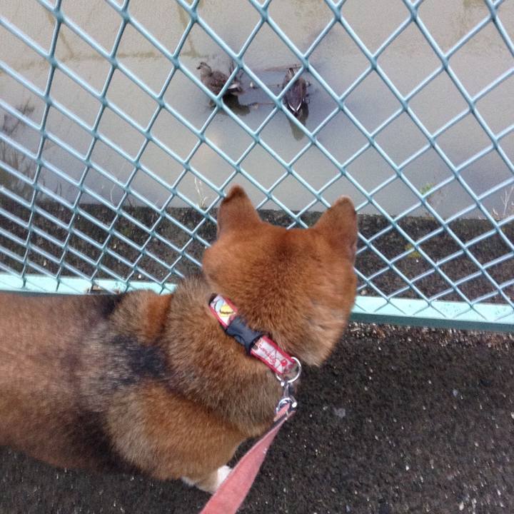 4fc7e50d d4ff 4a9a aee4 2609c93f5515