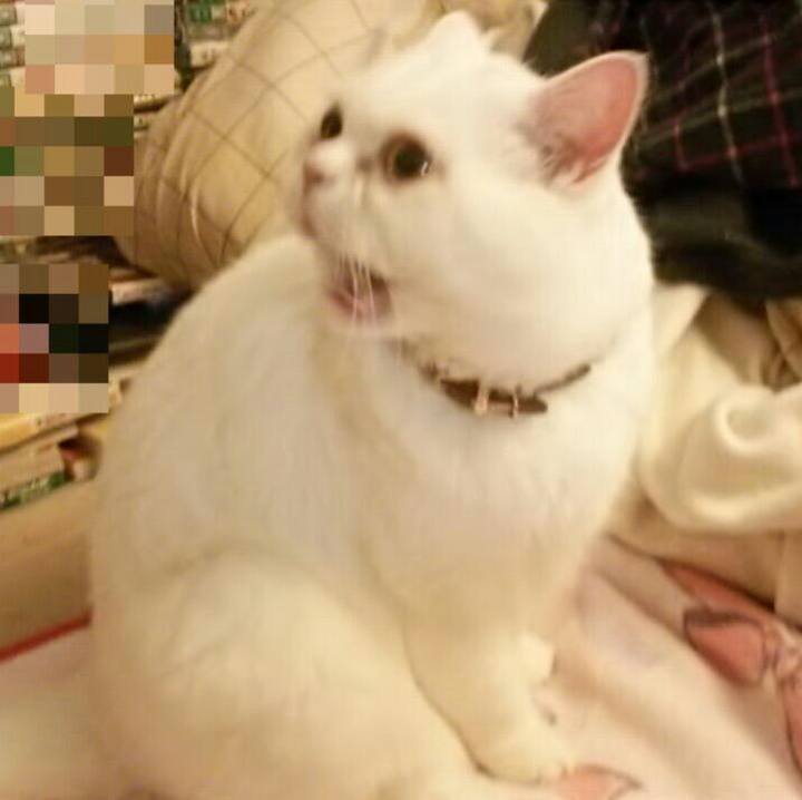 4fc8a006 b218 440b 918d 307ac525eb41