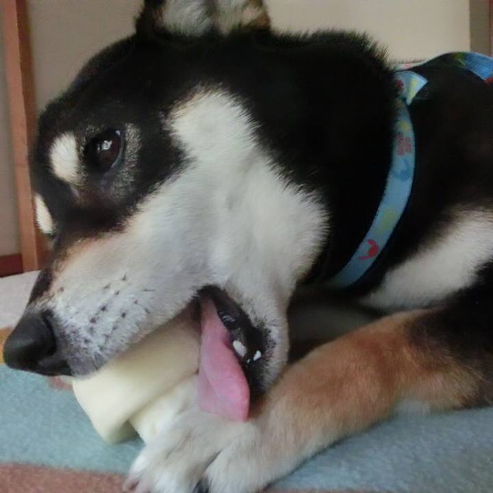 4fc9651d 64ee 4bf1 be75 41eb5896fc31