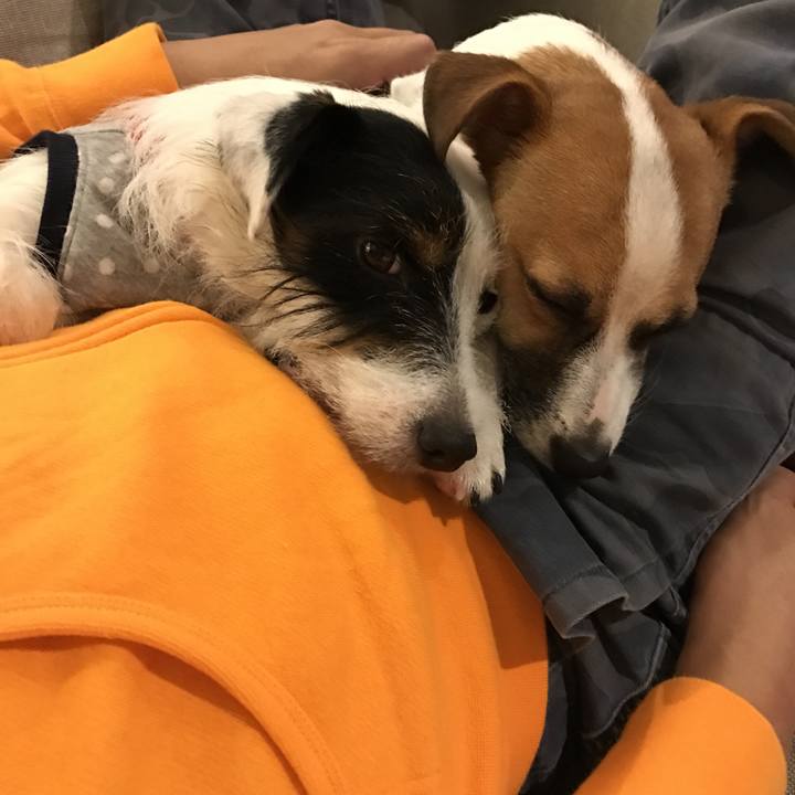 4fc97d9b ac11 4bc2 9ab2 4204a3a2031a