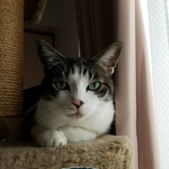 4fc9a35e 87d3 49ad be8c abf6bd4661e2