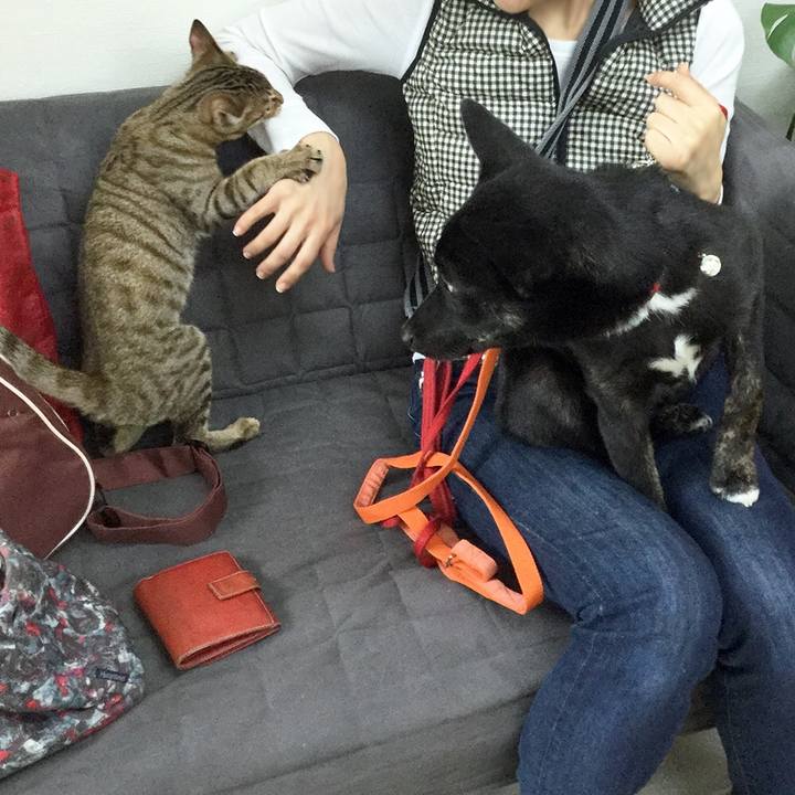 4fc9d88d 7383 419a ae58 17f27e6cb201