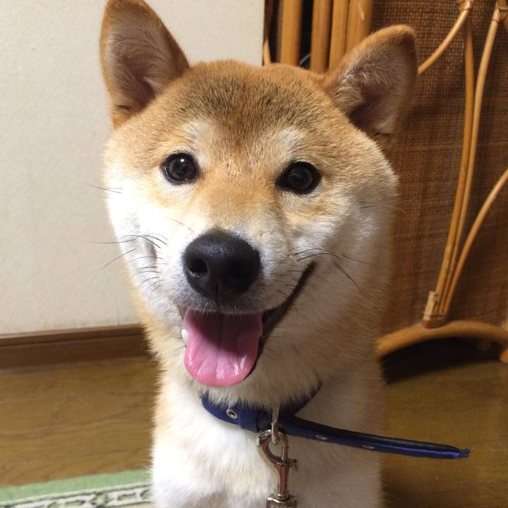 4fca7293 2abb 4ef7 8e4d c02c6848c78d