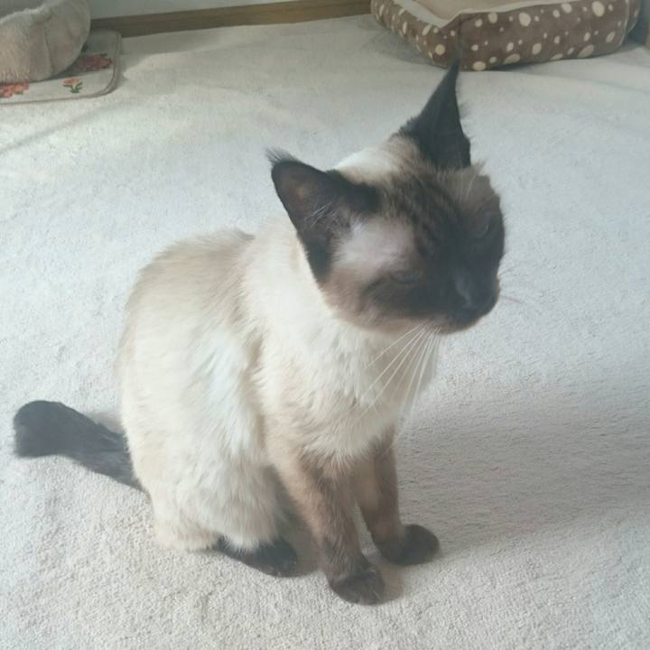 4fcaa63e d25d 461f 912b e95bae436599