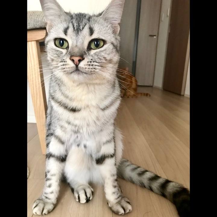 4fcac3d2 80cd 47e4 b709 c978926ba6e7