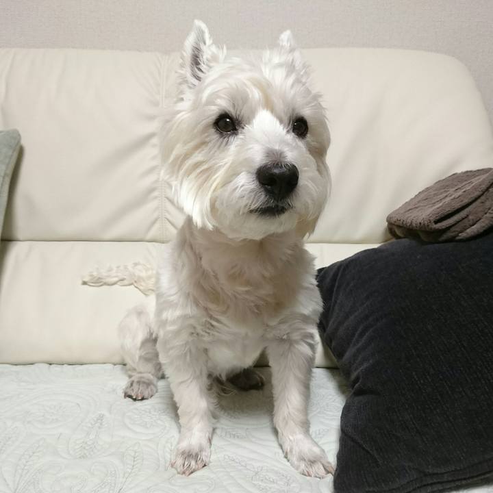 4fcb7472 bb34 4f3a 8945 aac2adec2c9e