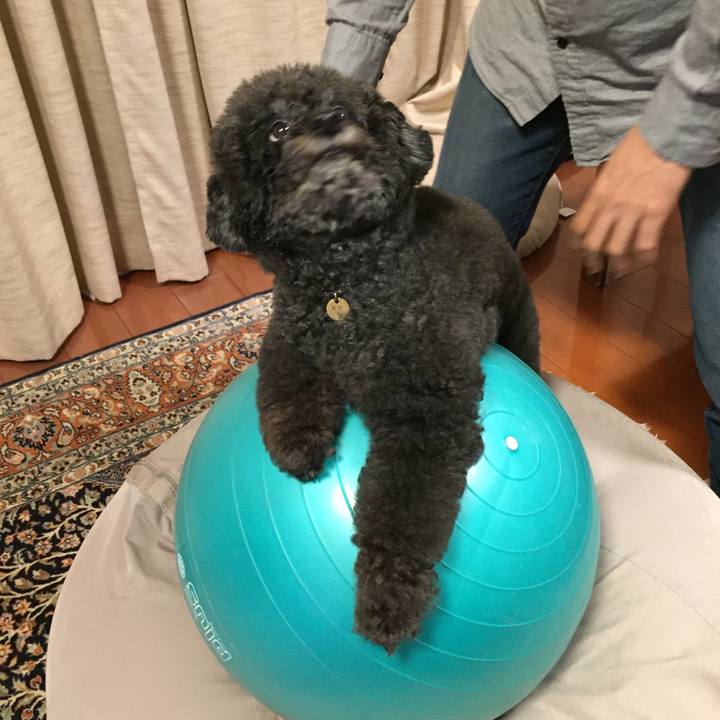 4fcbffa7 7fa3 4c21 9f62 8ae6d3909cf0