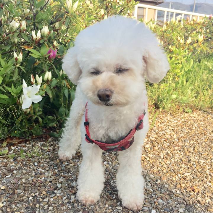 4fcc01fc e16e 4254 91e0 a2d28bc83724