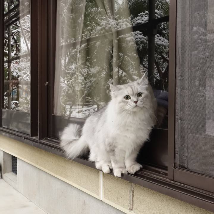 4fcc40fe 052a 41af 911e 21e56bc74e7e