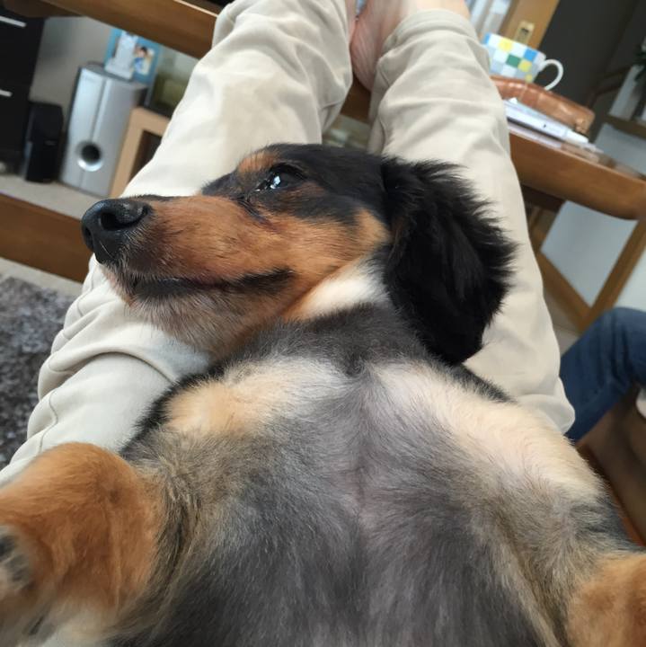 4fcc919c c61a 4752 892d aee235a0b139