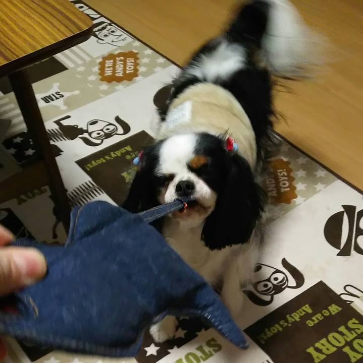 4fcc9ba0 9fb6 48a7 871d 4f79ed21c4e6