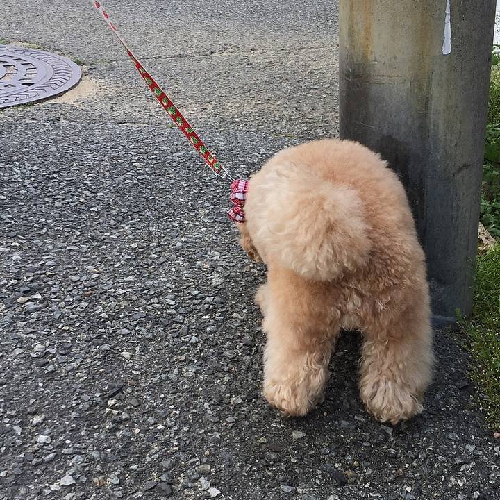 4fccfa3f 991e 4349 9d45 abaaa3a7de59