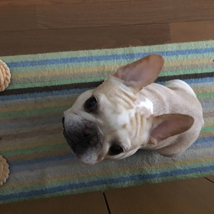 4fcd239f b753 4c17 aa9a d34cf27e5fee