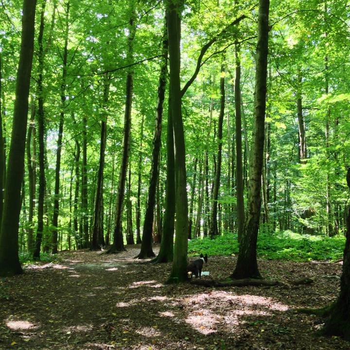 4fcd2c80 61a6 44a6 b5a5 db7f991d2718