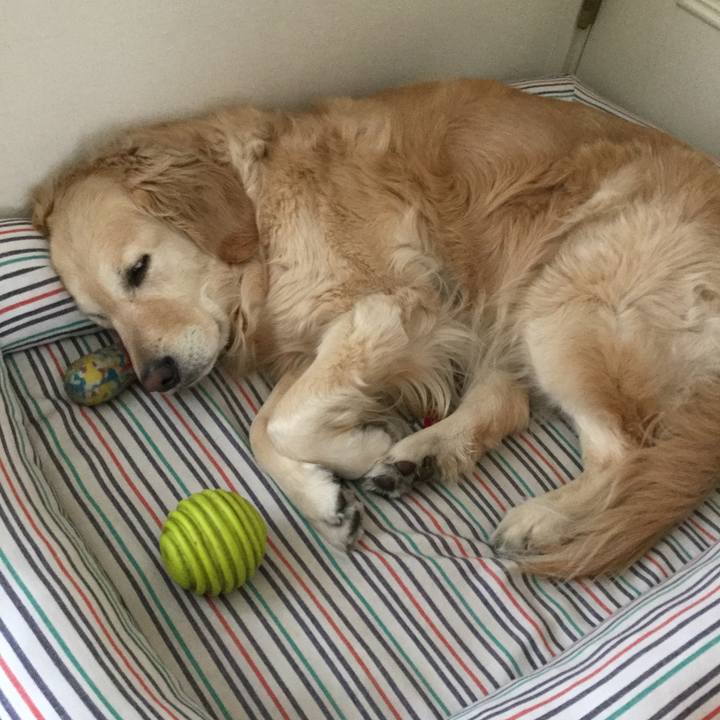 4fcd4471 76c3 4330 b822 5d473f5db137