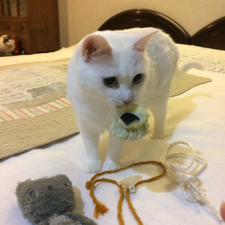 4fcdc46b 4f27 433c 99fb 6cb38fd1b33a