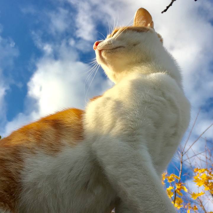 4fce1a5b 7863 4043 a872 b2540c3a7a5c