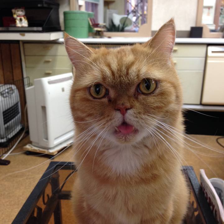 4fce4b75 e91f 4679 b640 3bc85f46b205