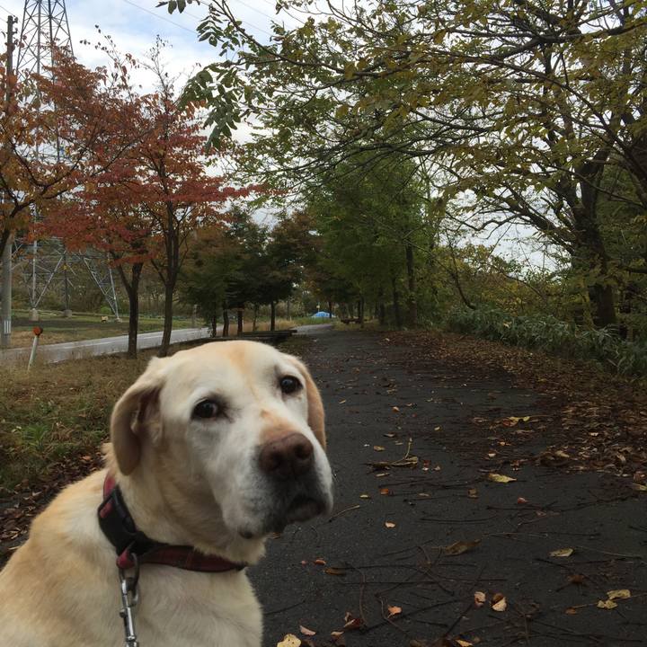 4fce5f0e a368 4ef9 8420 ac970e9268fd