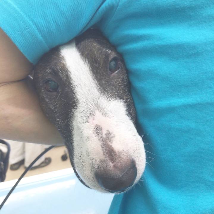 4fce8e9c fe9d 4e9b 943c db38e5e8d89e