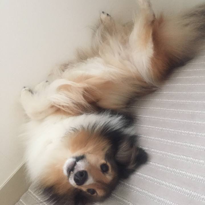 4fcf0991 4294 40df afef 0fcd4d9f4e1d