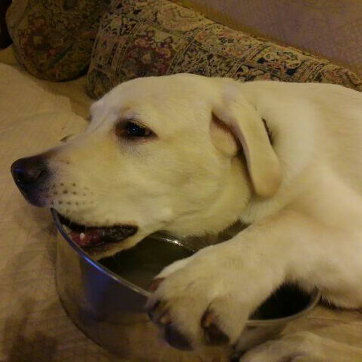 4fcf5948 6cae 47da 94e8 f40517475747