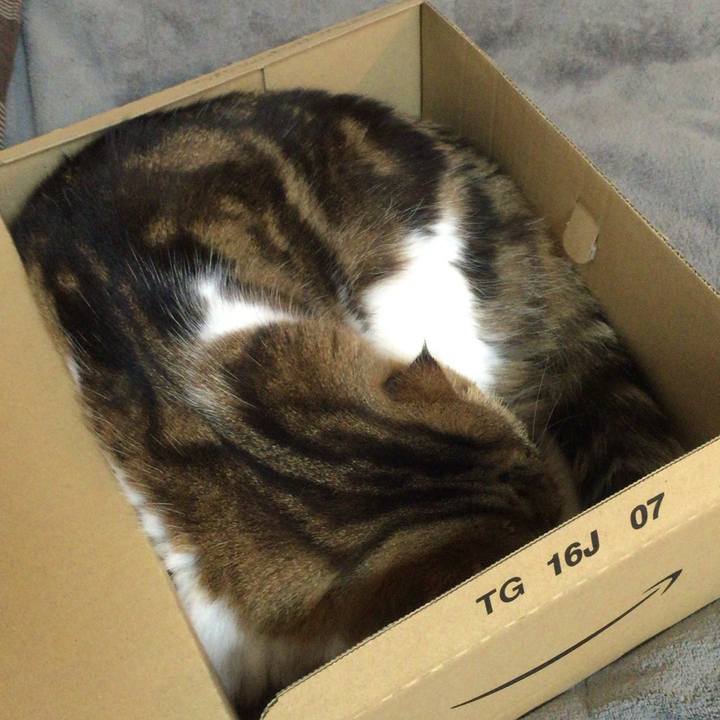 4fcff7a2 33df 4545 8a7c fb0ebf2565b2