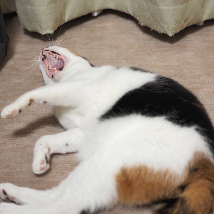 4fd023a9 9754 4d1d bf39 a2e437011d6f