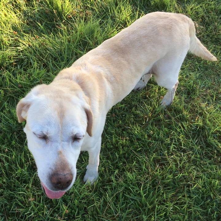 4fd1100f 48ac 4195 aa56 c3a517e99281