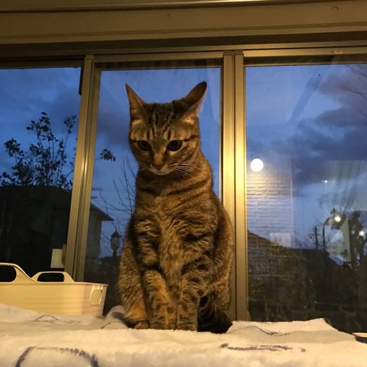 4fd1176e 7c1a 47b4 b9d6 dae078aae864