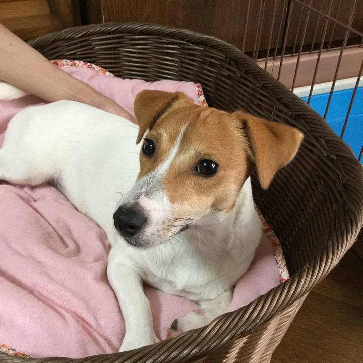 4fd13cfa 4f8b 4e22 bf7f 4f29f4d290d5